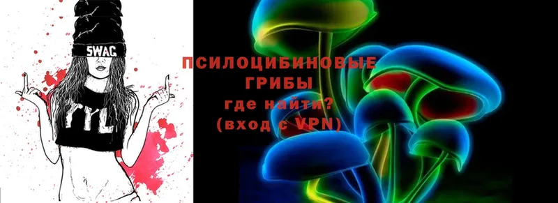 Псилоцибиновые грибы Magic Shrooms  Родники 